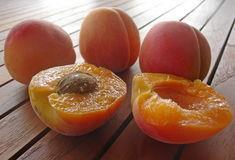 Variety is the spice of life for South African stonefruit