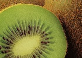 Kiwifruit generic