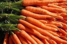 British carrot industry celebrates