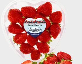 SanLucar strawberry herat