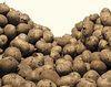 Potato conference open for registration