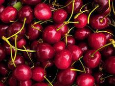 Berry Gardens sets sights on cherries