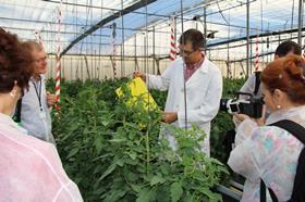 ECPA press trip Almeria_Oct 15, 2015_Experimental Station Las Palmerillas_Juan JosÃ‡ Magâ€ n (Las Palmerillas) explains