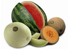 Del Monte melons