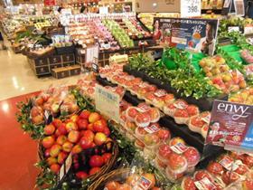 Delica Enza apples in Japan