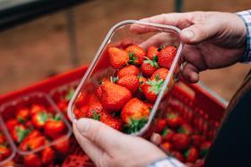 aldi strawberries