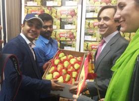 Yupaa Spanish Pears to India