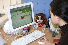Online shopping defies credit crunch