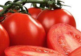Intense tomato