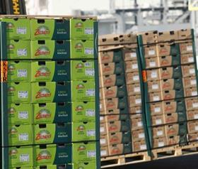 Zespri boxes