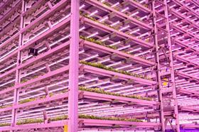 A new vertical farm at SRUC will be used for education and research