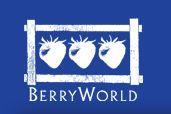 BerryWorld logo small