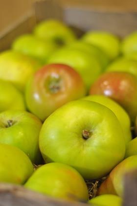 Armagh bramley apples