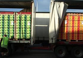 Zespri lorry boxes gold green