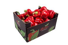 Galilee Export bell pepper