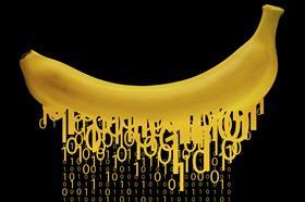 digital banana