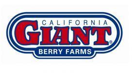 california giant