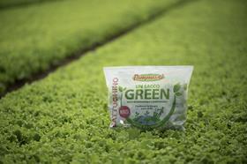 Sacco Green Dimmidisi La Linea Verde salad bioplastic