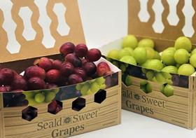 Greenyard USA Seald Sweet EcoBox grapes