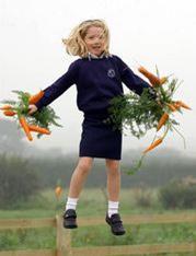 Organic carrots for Yorkshire kids