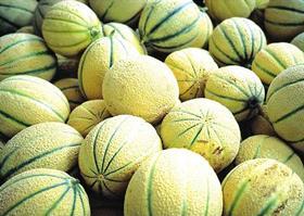 melons