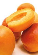 Apricots season at an abrupt end