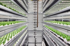 Infarm leafy greens vertical farming unit