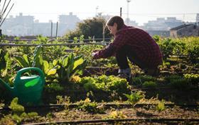 UK urban farming