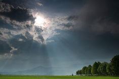 Warwick rising to climate challenge