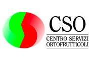 CSO logo