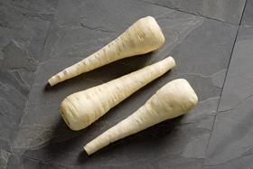 Parsnip