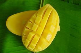 Thailand mango cut