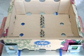 Capespan V-technology cartons packaging