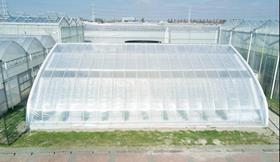 Dutch-Chinese solar greenhouse