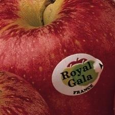 France Royal Gala apples