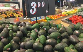 AU avocado coles retail hass supermarket copy