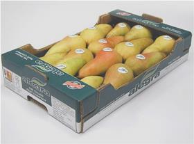 Abate Fetel pears Agrintesa Alegra Italy