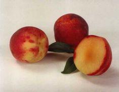 The Peachcot variety