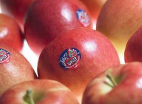 NZ Jazz apples Enza