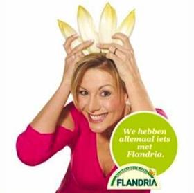 Flandria campaign