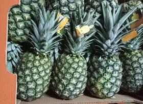 GH Fruit Brothers pineapples