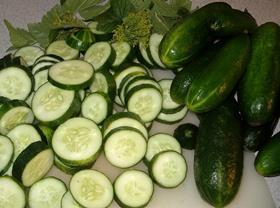 Slicer cucumbers