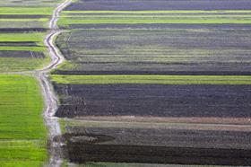 Generic ploughed fields