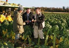 Horticulture minister Trevor Sargent (right) inspecting Brussels sprouts on the north Dublin farm of grower Enda Weldon. Also in the picture (centre) is fresh produce co-ordinator PJ Jones, of the Irish Farmers’ Association.