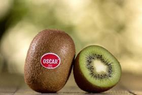 Primland Chile Oscar kiwifruit