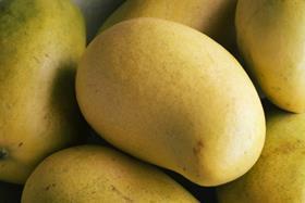 Generic yellow mangoes