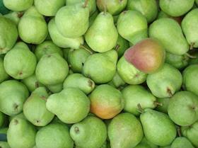 Williams pears