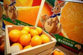 Citrus Australia Shanghai