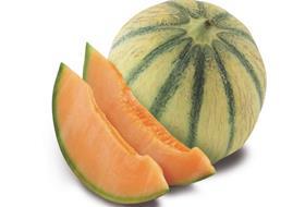 Soldive melon