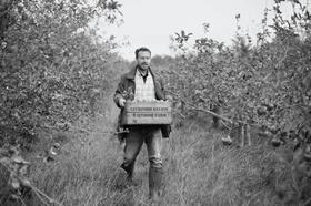 Apples on the Leckford Estate, Waitrose farm